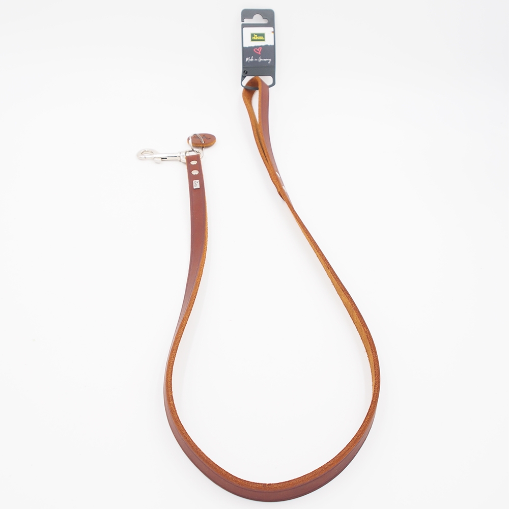 16/100 Pavadėlis Hunter