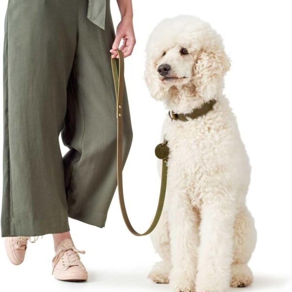 20/100 Odinis pavadėlis Hunter