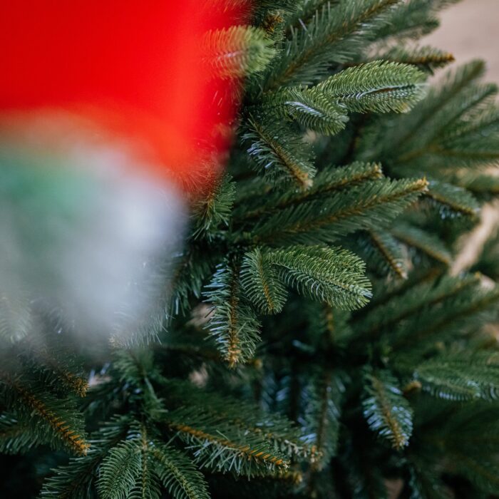 250-cm-dirbtine-kaledu-eglute-bergamo-premium-7.jpg 250-cm-dirbtine-kaledu-eglute-bergamo-premium-7.jpg