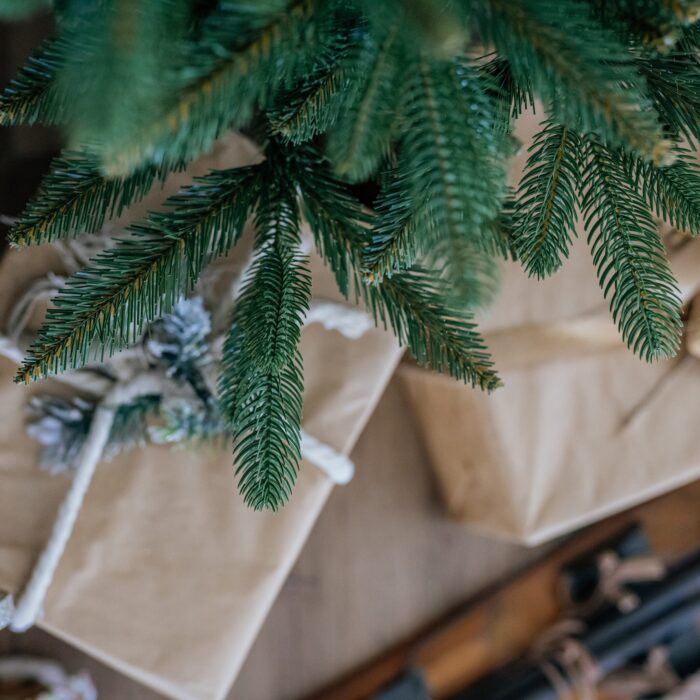 250-cm-dirbtine-kaledu-eglute-bergamo-premium-8.jpg 250-cm-dirbtine-kaledu-eglute-bergamo-premium-8.jpg