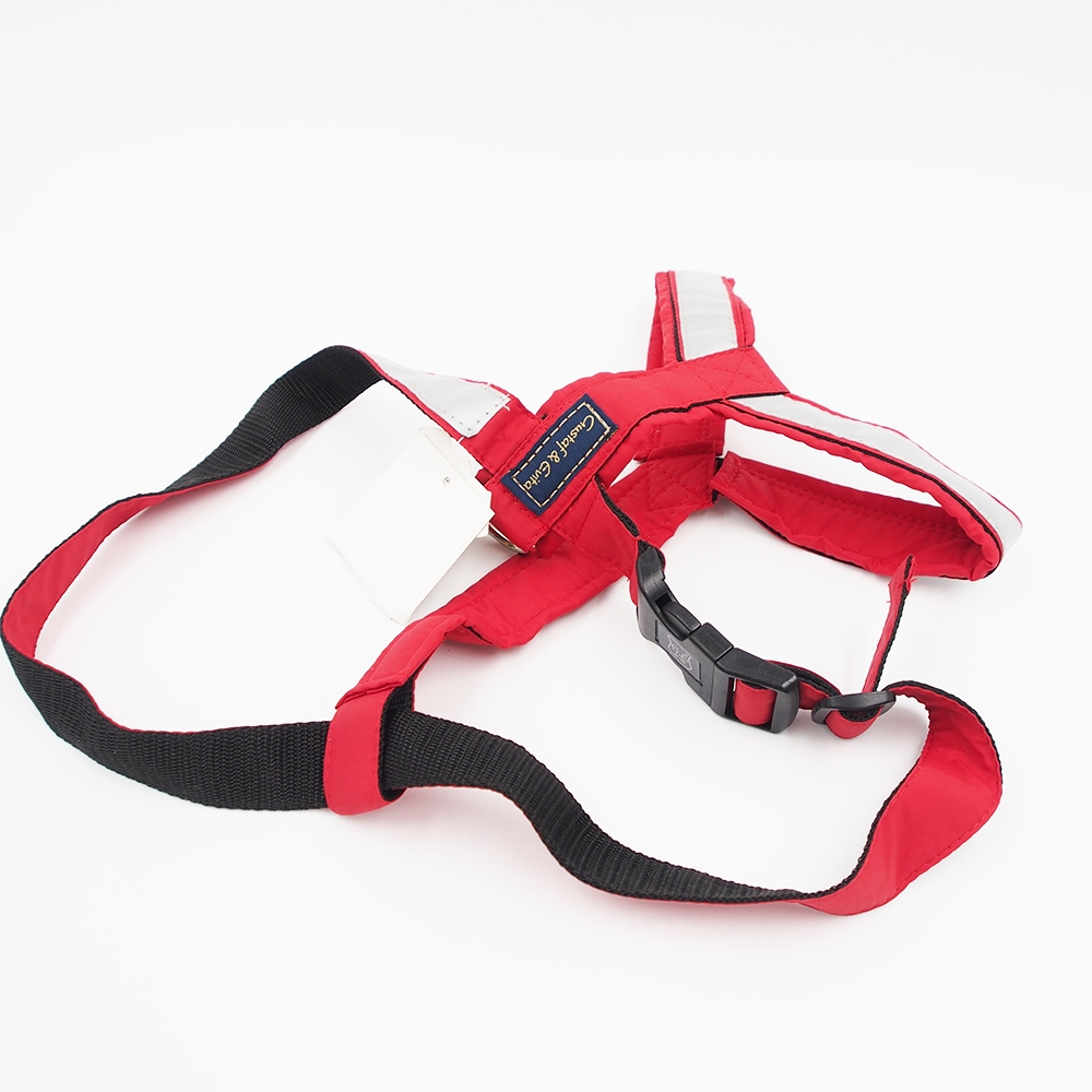 46/80 Gustaf & Evita petnešos