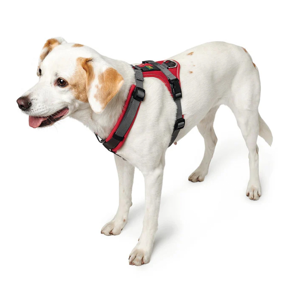 69-105 CM. antkaklis Hunter H67502