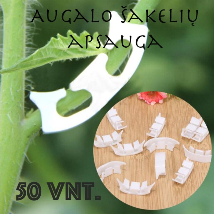augalo-sakeliu-apsauga-50-vnt.jpg augalo-sakeliu-apsauga-50-vnt.jpg
