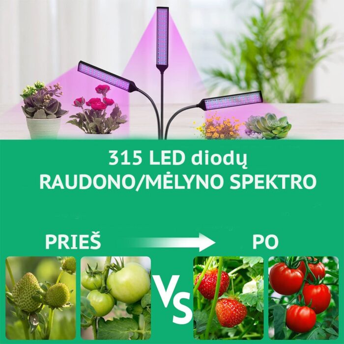 augalu-auginimo-lempa-315led-4.jpg