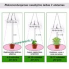 augalu-auginimo-lempa-6.jpg