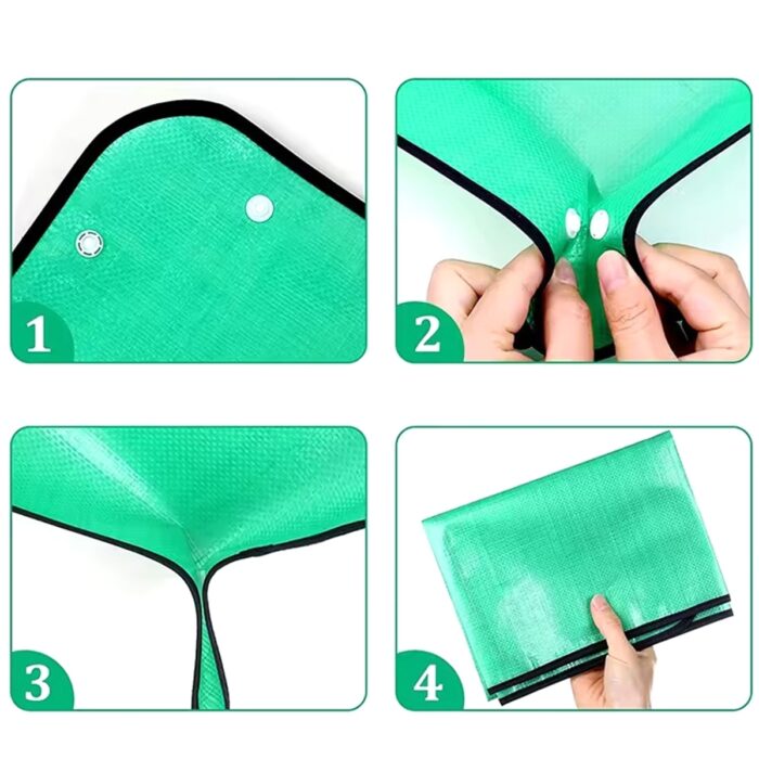 augalu-persodinimo-kilimelis-1.jpg augalu-persodinimo-kilimelis-1.jpg