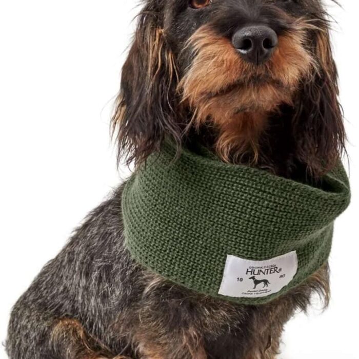 augintinio-salikas-hunter-zalias-2.jpg augintinio-salikas-hunter-zalias-2.jpg