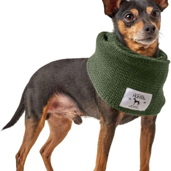 augintinio-salikas-hunter-zalias-5.jpg augintinio-salikas-hunter-zalias-5.jpg