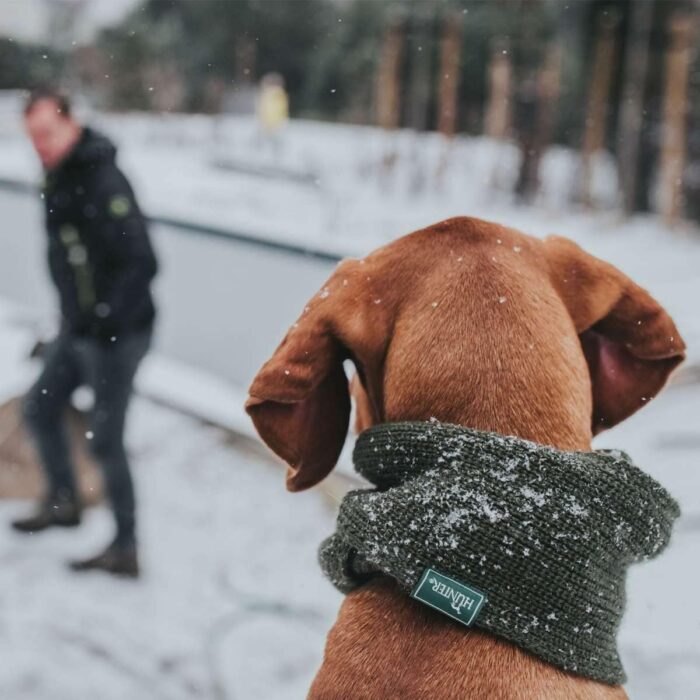 augintinio-salikas-hunter-zalias-7.jpg augintinio-salikas-hunter-zalias-7.jpg