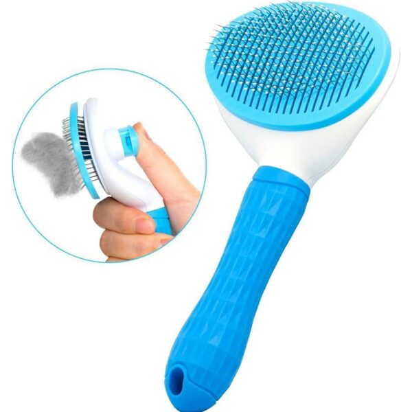 Augintinio Šepetėlis