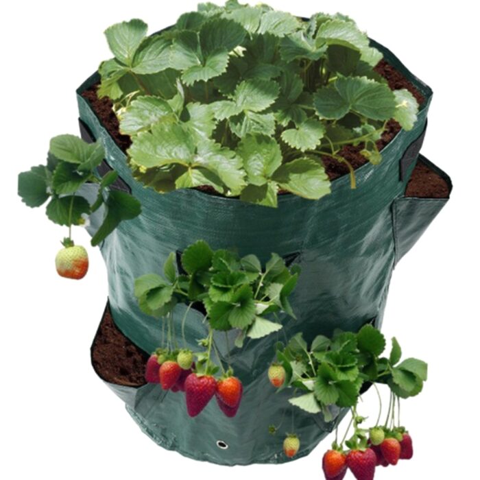 braskiu-sodinimo-maisas-3.jpg braskiu-sodinimo-maisas-3.jpg