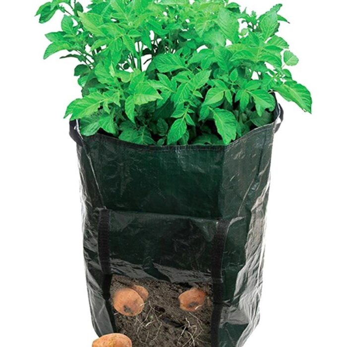 bulviu-sodinimo-maisas-1.jpg bulviu-sodinimo-maisas-1.jpg