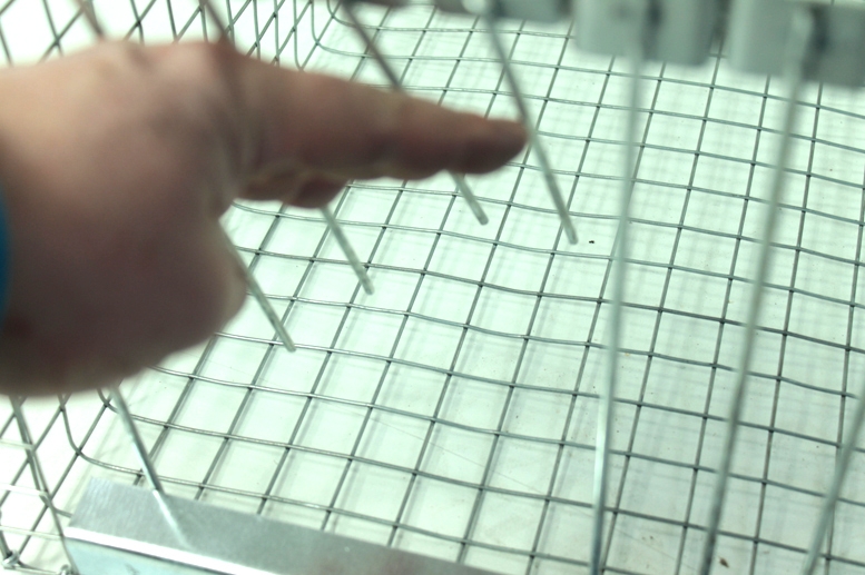 gaudykle-pauksciams-102x30x30-cm-2.jpg gaudykle-pauksciams-102x30x30-cm-2.jpg