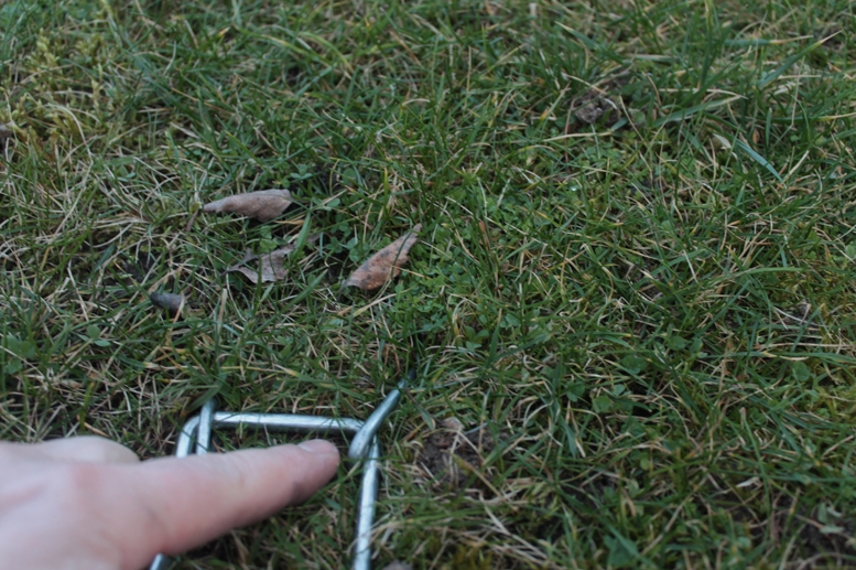 gaudykle-pauksciams-ir-triusiams-2.jpg gaudykle-pauksciams-ir-triusiams-2.jpg