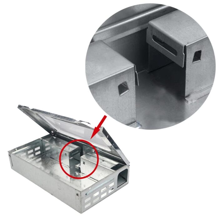 gyvagaudziai-spastai-pelems-2.jpg gyvagaudziai-spastai-pelems-2.jpg