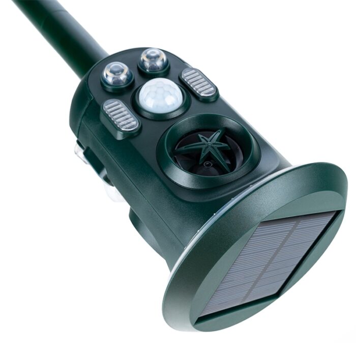 gyvunu-baidykle-k751d2-1.jpg gyvunu-baidykle-k751d2-1.jpg