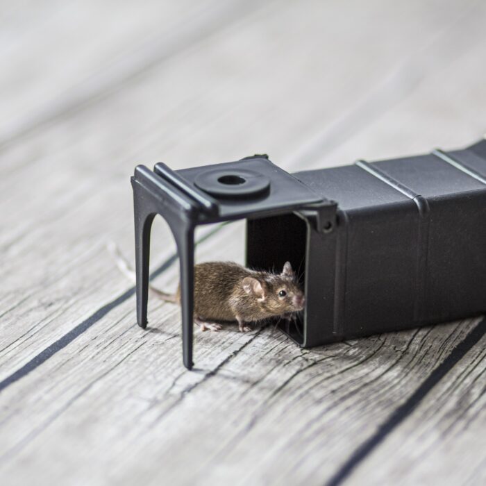 humaniski-grauziku-spastai-1.jpg humaniski-grauziku-spastai-1.jpg