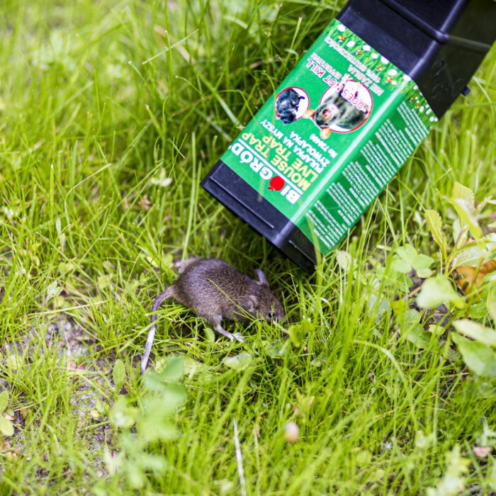 humaniski-grauziku-spastai-3.jpg humaniski-grauziku-spastai-3.jpg