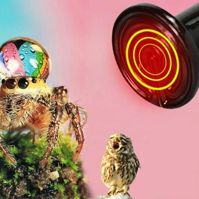 infraraudonuju-spinduliu-lempute-terariumams-50w-5.jpg infraraudonuju-spinduliu-lempute-terariumams-50w-5.jpg