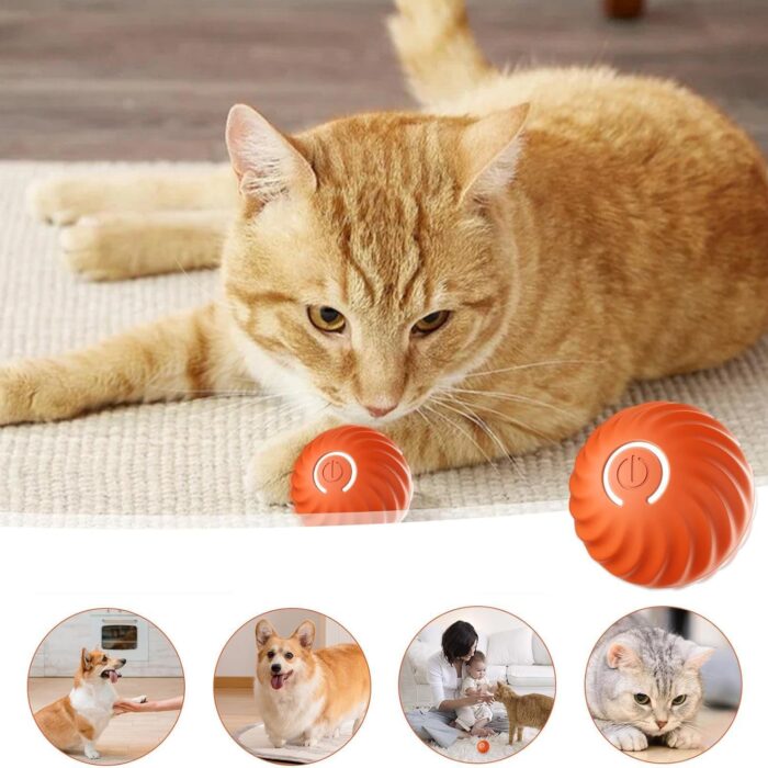 interaktyvus-usb-ikraunamas-kamuoliukas-augintiniams.jpg interaktyvus-usb-ikraunamas-kamuoliukas-augintiniams.jpg