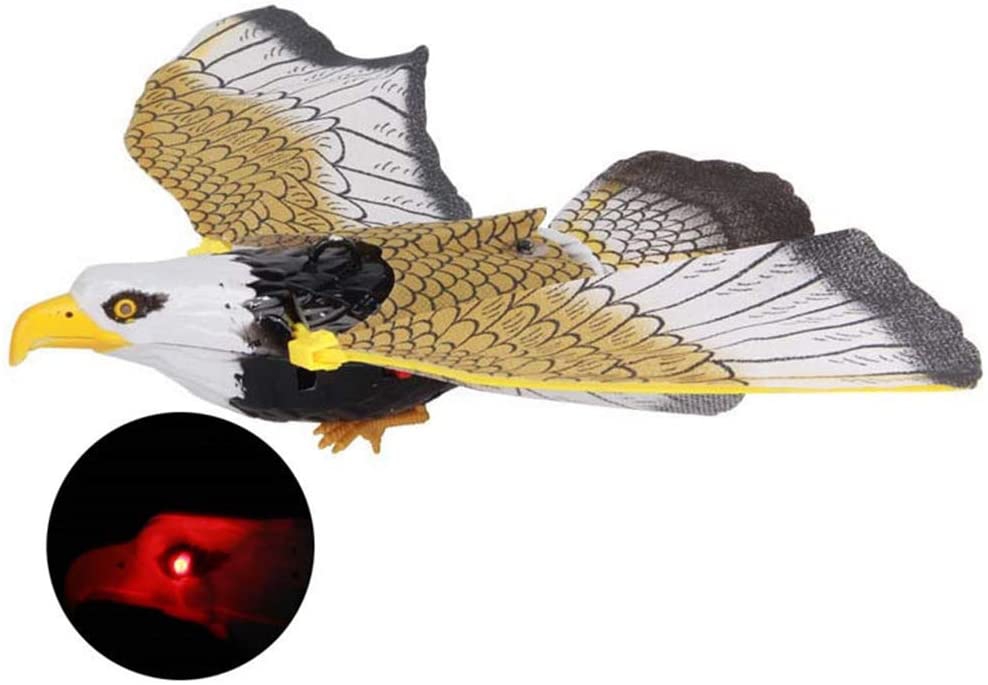 judancio-erelio-imitacija-3.jpg judancio-erelio-imitacija-3.jpg