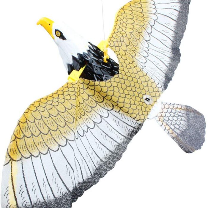 judancio-erelio-imitacija-7.jpg judancio-erelio-imitacija-7.jpg