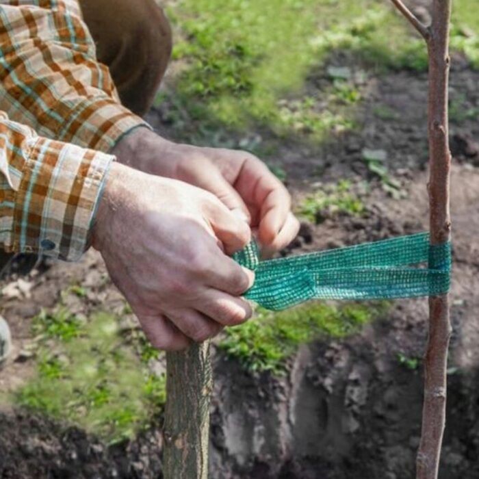 juostele-augalams-paristi-1.jpg juostele-augalams-paristi-1.jpg