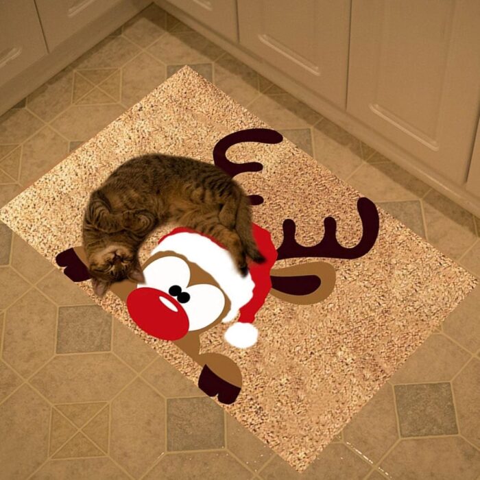 kaledinis-duru-kilimelis-2.jpg kaledinis-duru-kilimelis-2.jpg