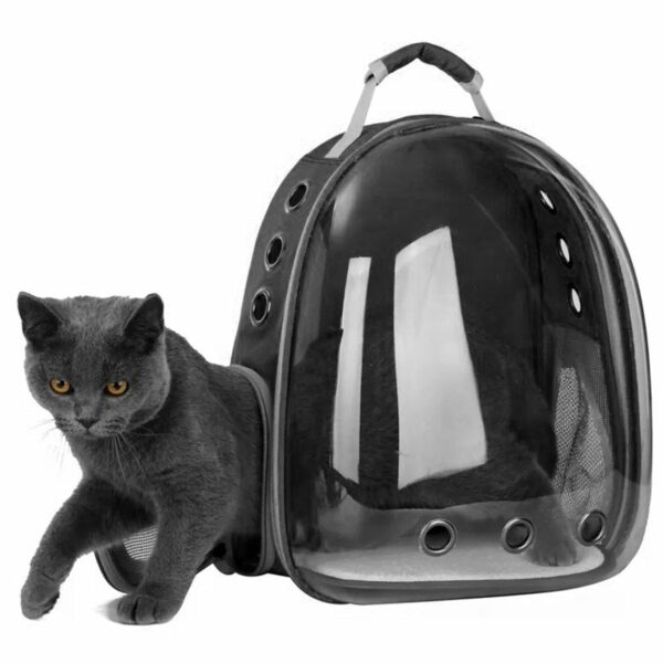 Kuprinės pavidalo krepšys augintiniui