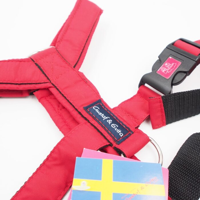 l-petnesos-sunims-gustaf-evita-1.jpg l-petnesos-sunims-gustaf-evita-1.jpg