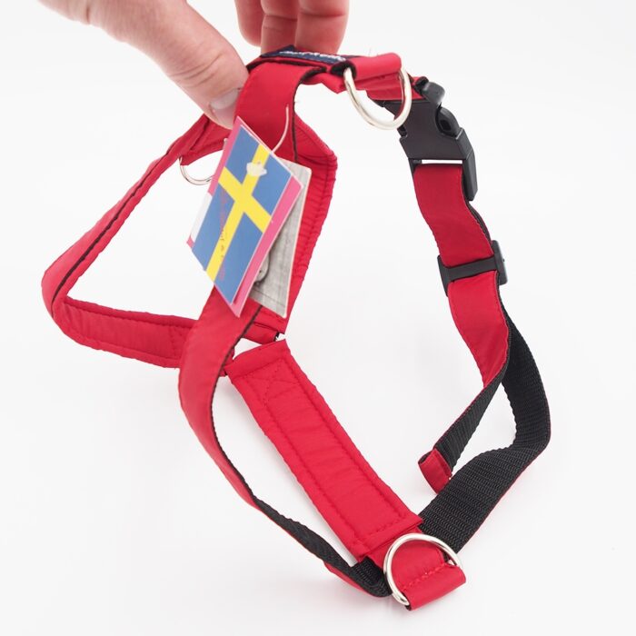 l-petnesos-sunims-gustaf-evita-2.jpg l-petnesos-sunims-gustaf-evita-2.jpg