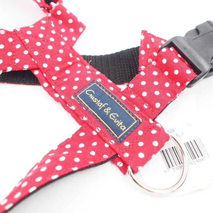 l-petnesos-sunims-gustaf-evita-4.jpg l-petnesos-sunims-gustaf-evita-4.jpg