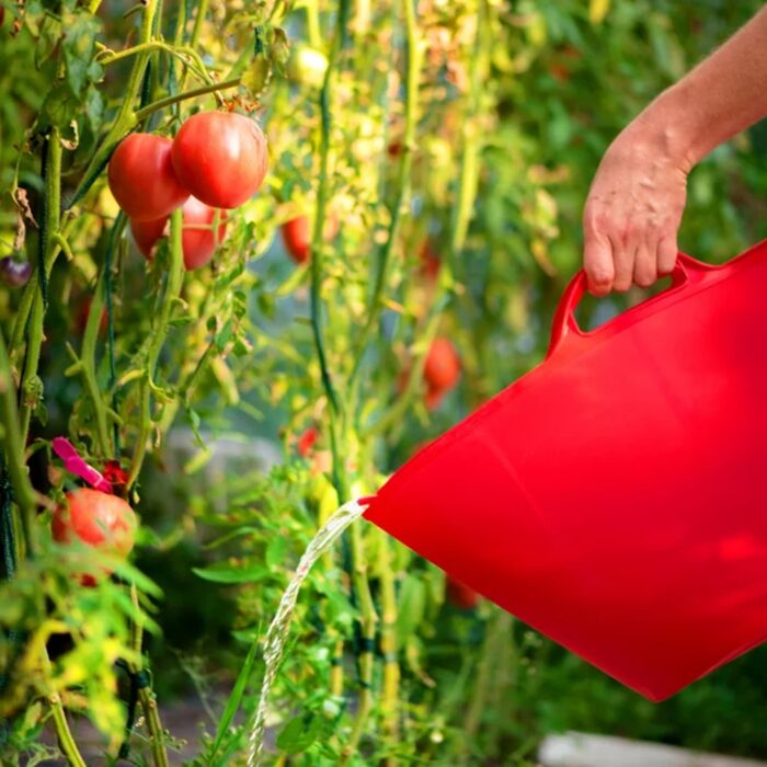 lankstus-plastikinis-krepsys-26l-6.jpg lankstus-plastikinis-krepsys-26l-6.jpg