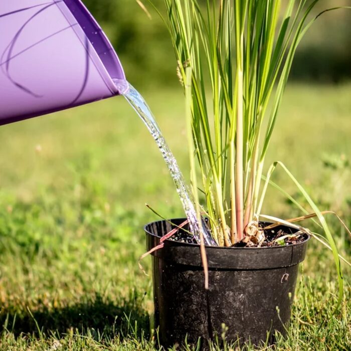 lankstus-plastikinis-krepsys-26l-7.jpg lankstus-plastikinis-krepsys-26l-7.jpg