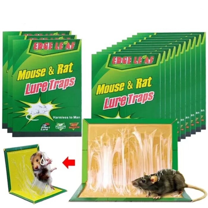 lipnus-spastai-pelems.jpg lipnus-spastai-pelems.jpg