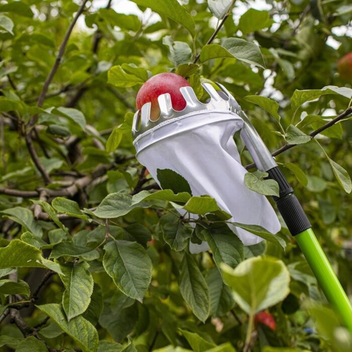 metalinis-vaisiu-skintuvas.jpg metalinis-vaisiu-skintuvas.jpg