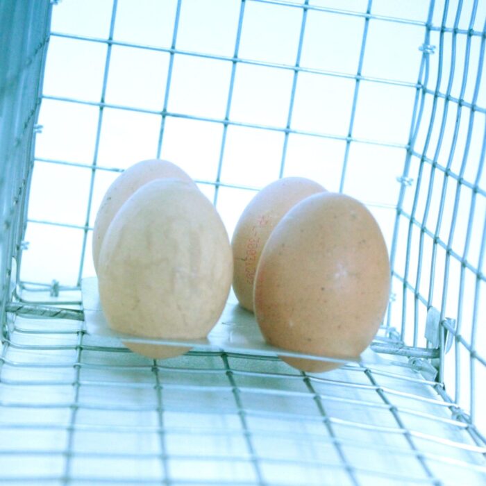 narvas-gaudykle-150x29x31-cm-6.jpg narvas-gaudykle-150x29x31-cm-6.jpg