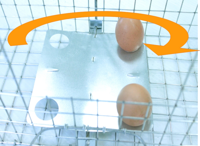 narvas-gaudykle-150x29x31-cm-8.jpg narvas-gaudykle-150x29x31-cm-8.jpg