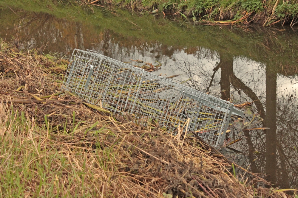 narvas-gaudykle-su-kamera-jaukui-15.jpg narvas-gaudykle-su-kamera-jaukui-15.jpg