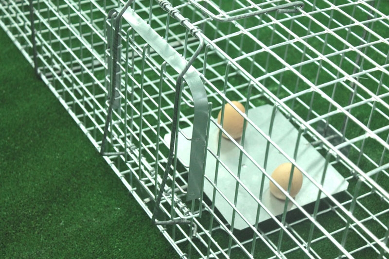 narvas-gaudykle-su-kamera-jaukui-6.jpg narvas-gaudykle-su-kamera-jaukui-6.jpg