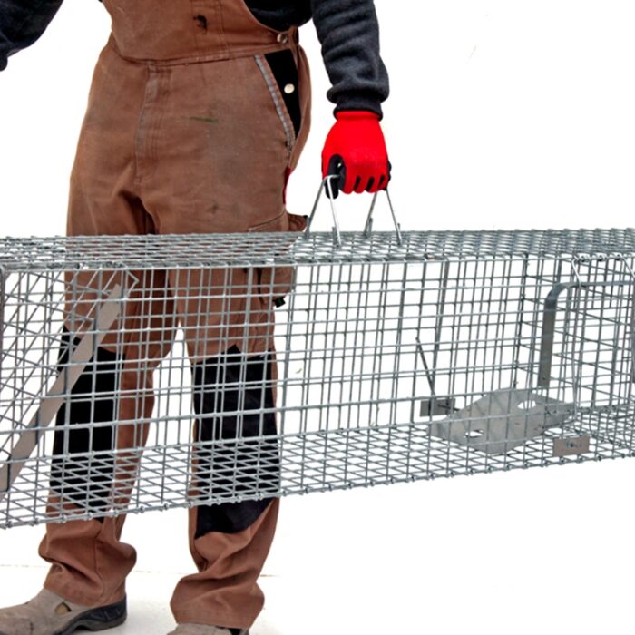 narvas-gaudykle-su-kamera-jaukui.jpg narvas-gaudykle-su-kamera-jaukui.jpg