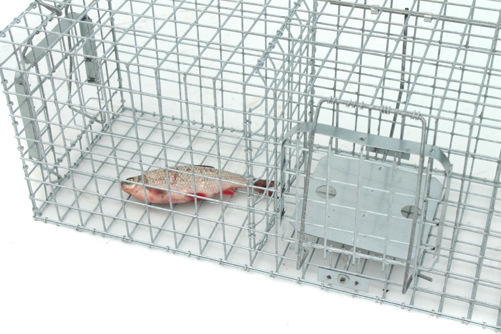 narvas-gaudykle-su-kamera-jaukui-9.jpg narvas-gaudykle-su-kamera-jaukui-9.jpg