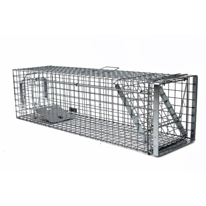 narvasgaudykle-80x26x30-hardy-2.jpg narvasgaudykle-80x26x30-hardy-2.jpg