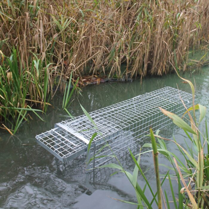 narvasgaudykle-80x26x30-hardy-4.jpg narvasgaudykle-80x26x30-hardy-4.jpg