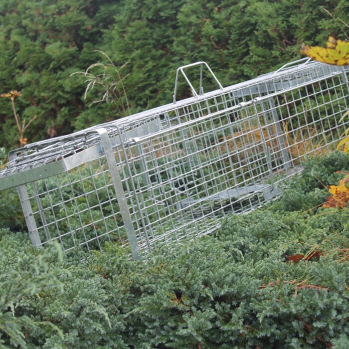 narvasgaudykle-80x26x30-hardy-5.jpg narvasgaudykle-80x26x30-hardy-5.jpg