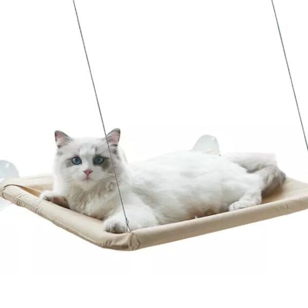 Pakabinamas Katės guolis