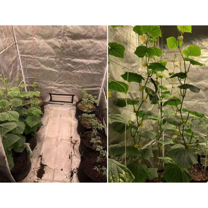 palapine-augalams-grow-tent-3.jpg palapine-augalams-grow-tent-3.jpg