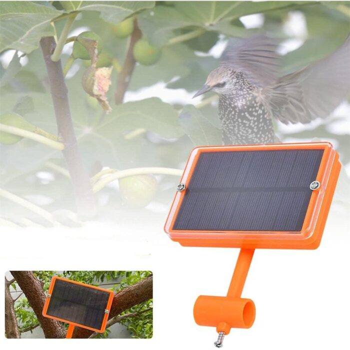 pauksciu-baidykle-3.jpg pauksciu-baidykle-3.jpg