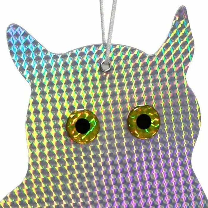 pauksciu-baidykle-5.jpg pauksciu-baidykle-5.jpg