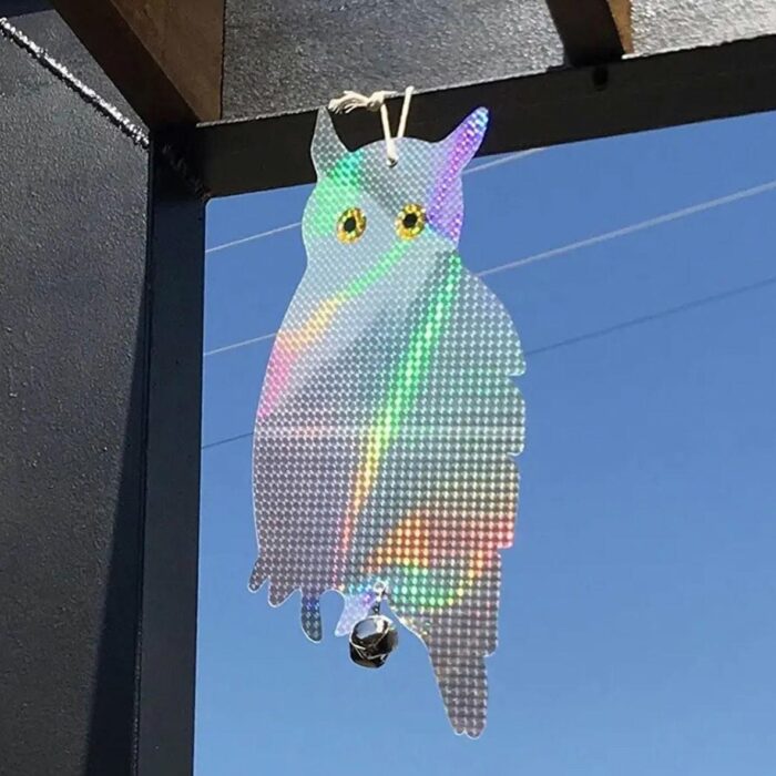 pauksciu-baidykle-8.jpg pauksciu-baidykle-8.jpg